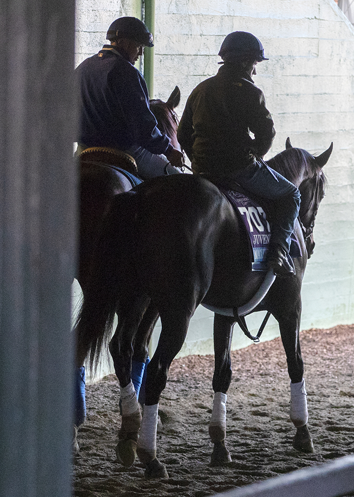 Maxfield at Santa Anita Park on Oct. 28