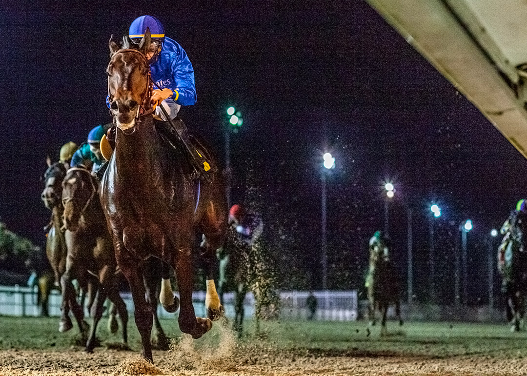 Maxfield wins the 2020 Tenacious Stakes at Fair Grounds