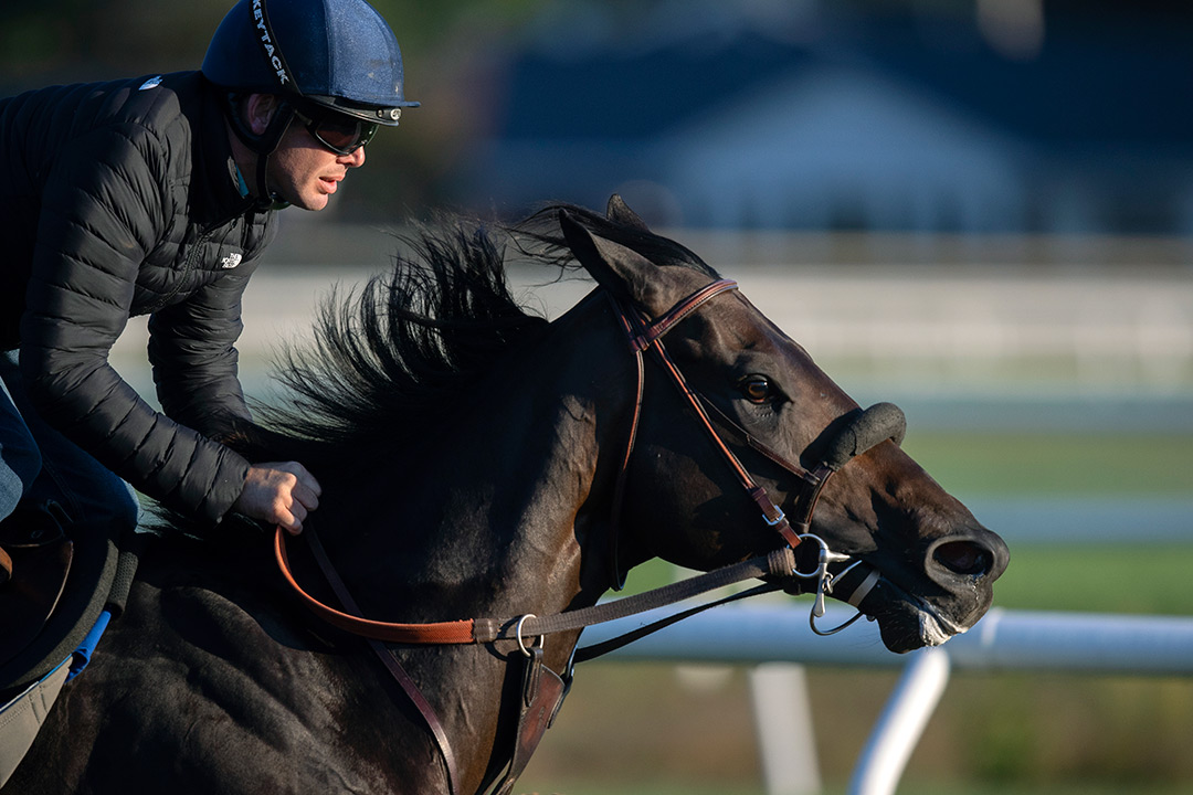 Maxfield trains at Saratoga Race Course on Sept. 11