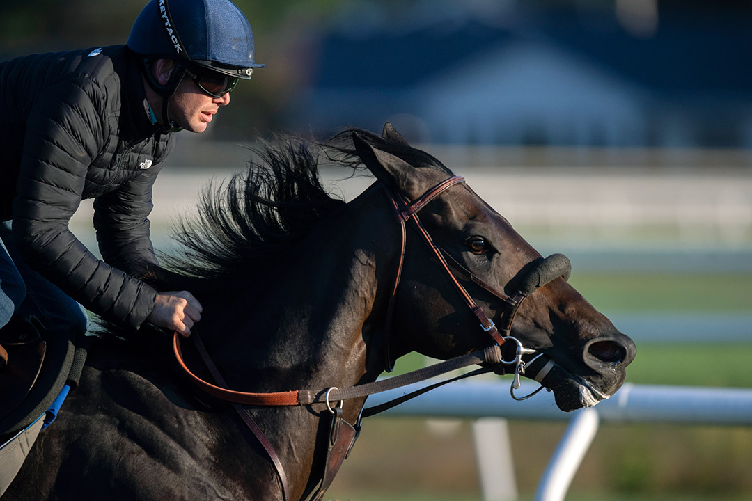 Maxfield trains at Churchill Downs on Sept. 11