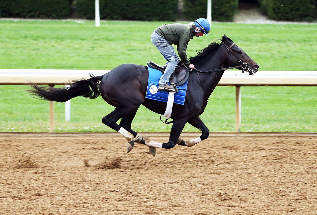 Maxfield breezes at Keeneland Racecourse on Oct. 25