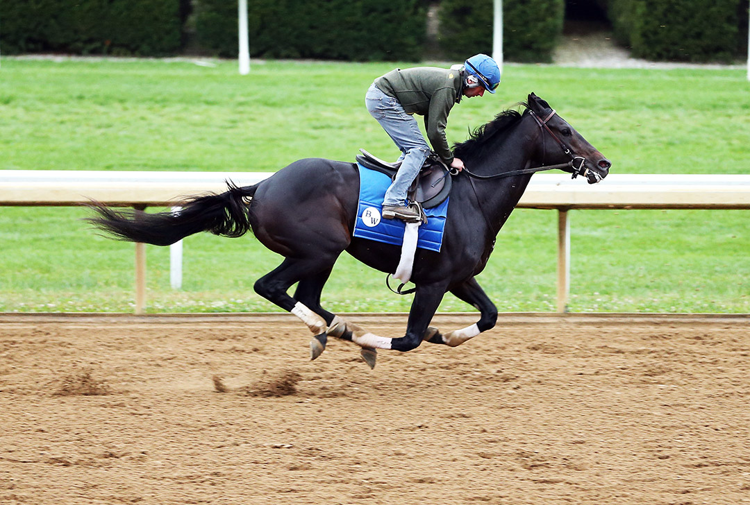Maxfield trains at Keeneland Racecourse on Oct. 25