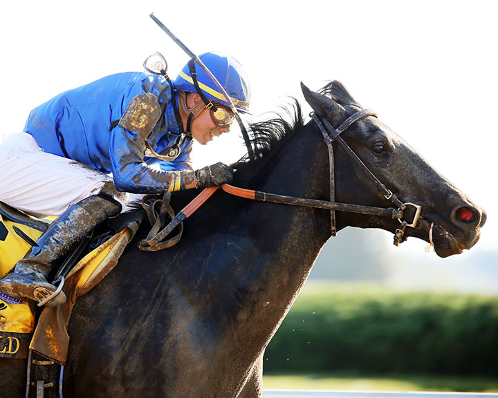 Maxfield wins the 2019 Breeders' Futurity Stakes at Keeneland Racecourse