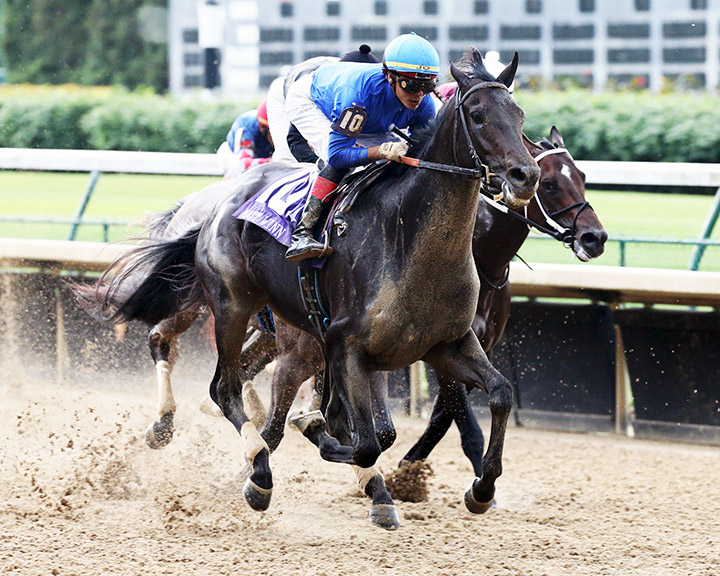 Maxfield wins the 2020 Matt Winn Stakes at Churchill Downs