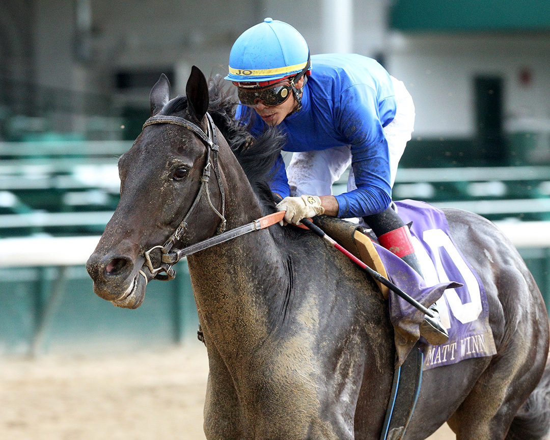 Maxfield wins the Matt Winn Stakes at Churchill Downs