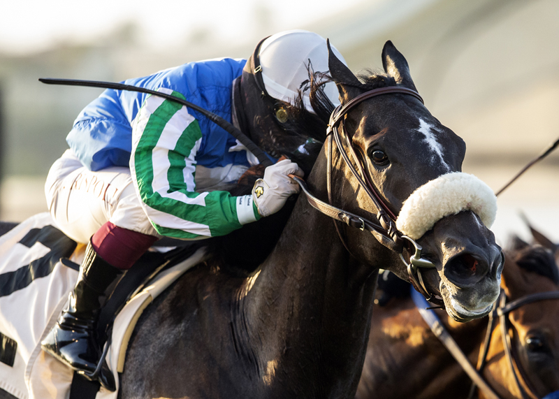 Maxim Rate wins CTT and TOC 8-16-2020