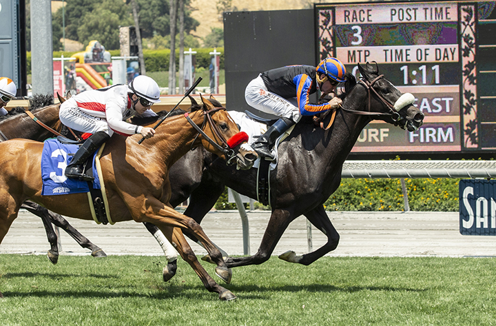Maxim Rate wins the 2019 Senorita Stakes