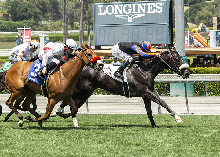 Maxim Rate wins the 2019 Senorita Stakes