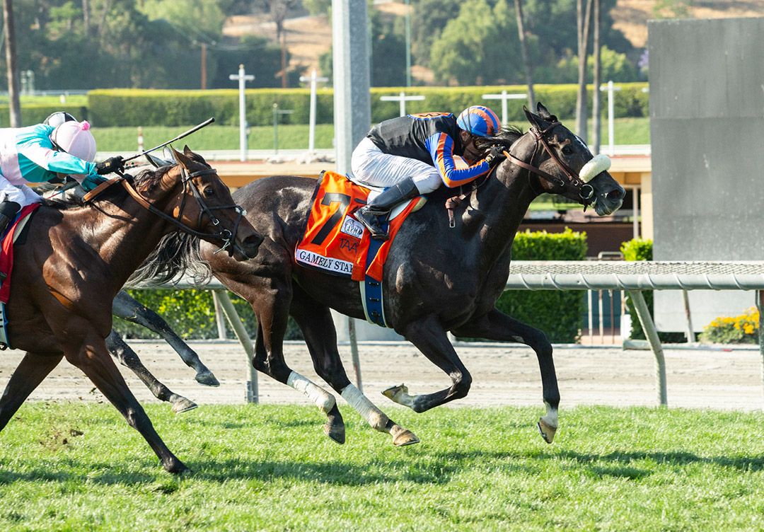 Maxim Rate wins the 2021 Gamely Stakes at Santa Anita