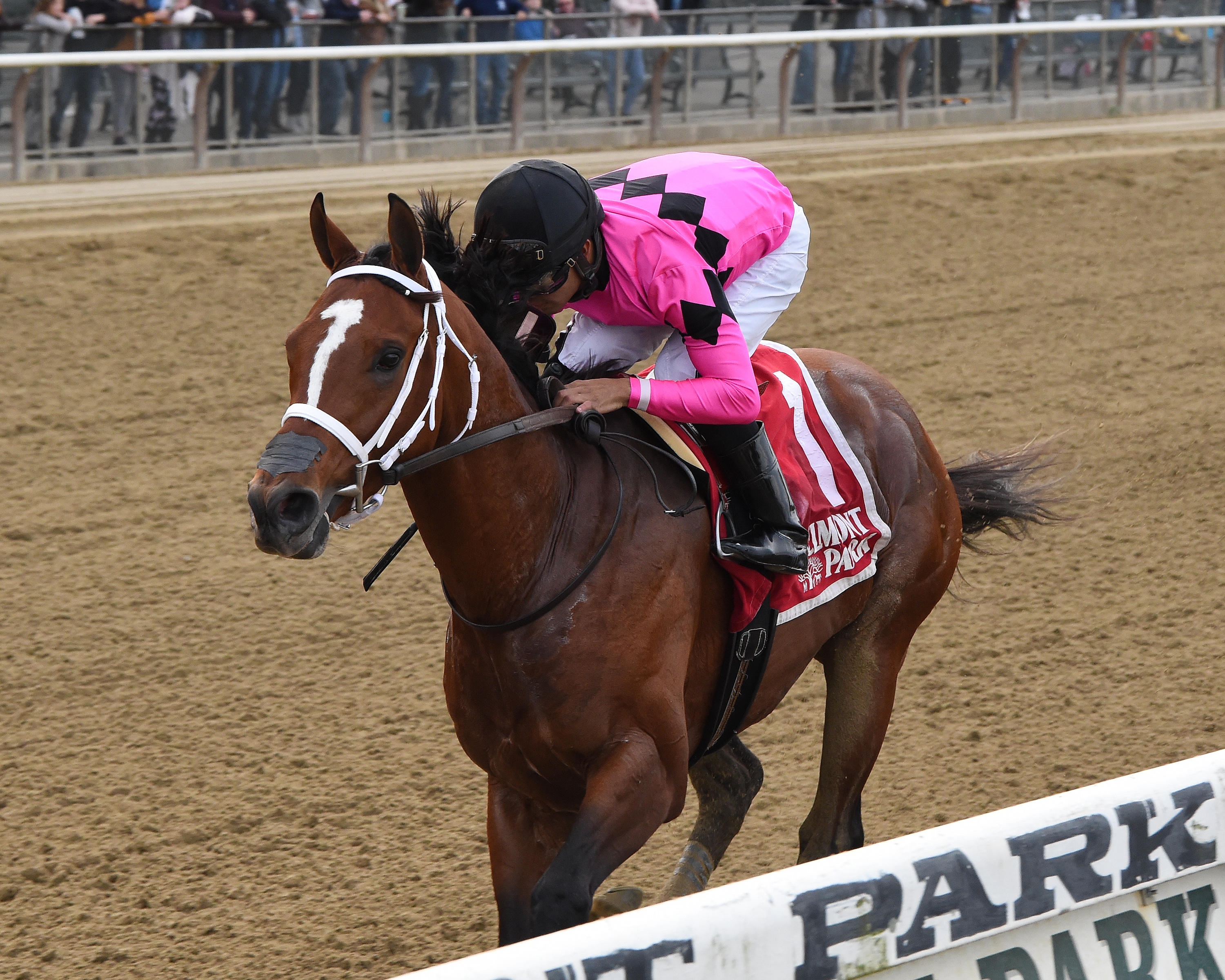 Maximum Security wins the 2019 Bold Ruler Handicap