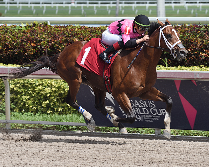 Maximum Security wins a Feb. 21 allowance race
