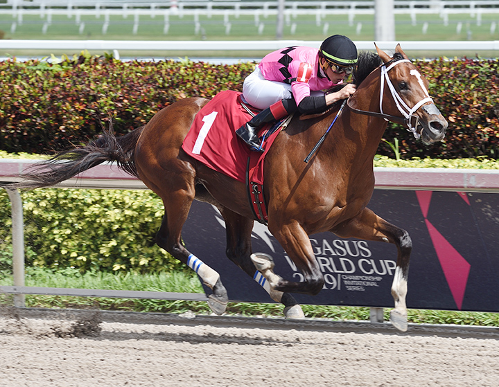 Maximum Security wins a Feb. 21 allowance race