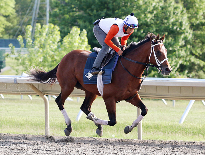Maximum Security works at Monmouth on May 22
