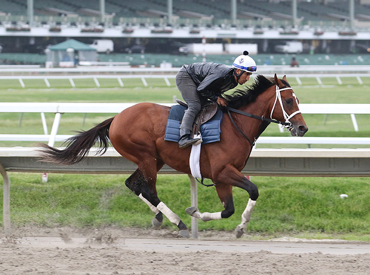 Maximum Security trains at Monmouth on June 13