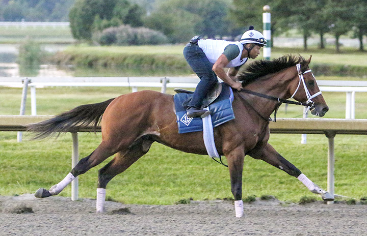 Maximum Security trains at Parx on Sept. 16, 2019