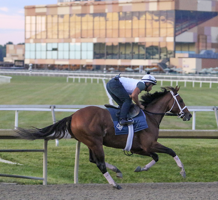 Maximum Security trains at Parx on Sept. 16, 2019