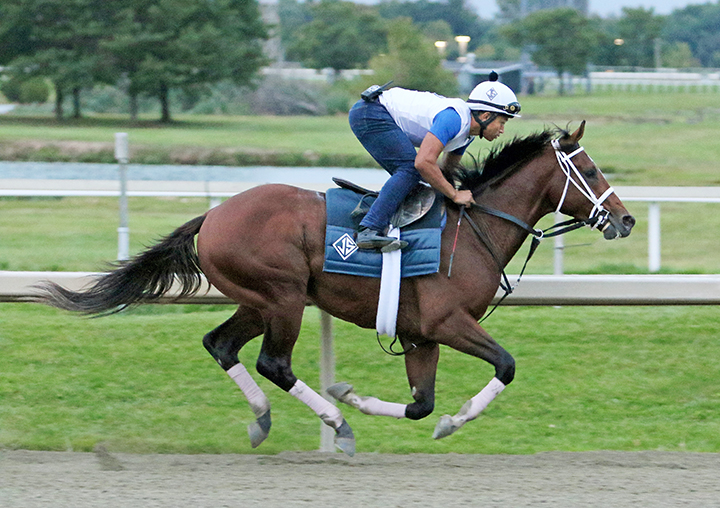 Maximum Security trains a Parx on Sept. 6