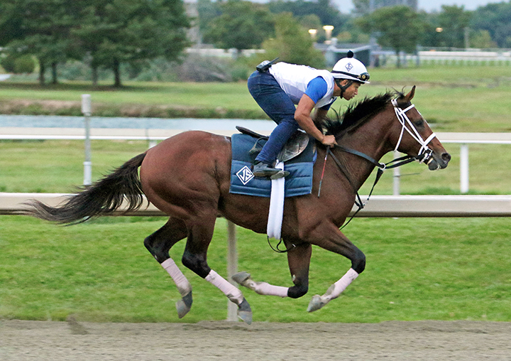 Maximum Security trains at Parx on Sept. 6, 2019