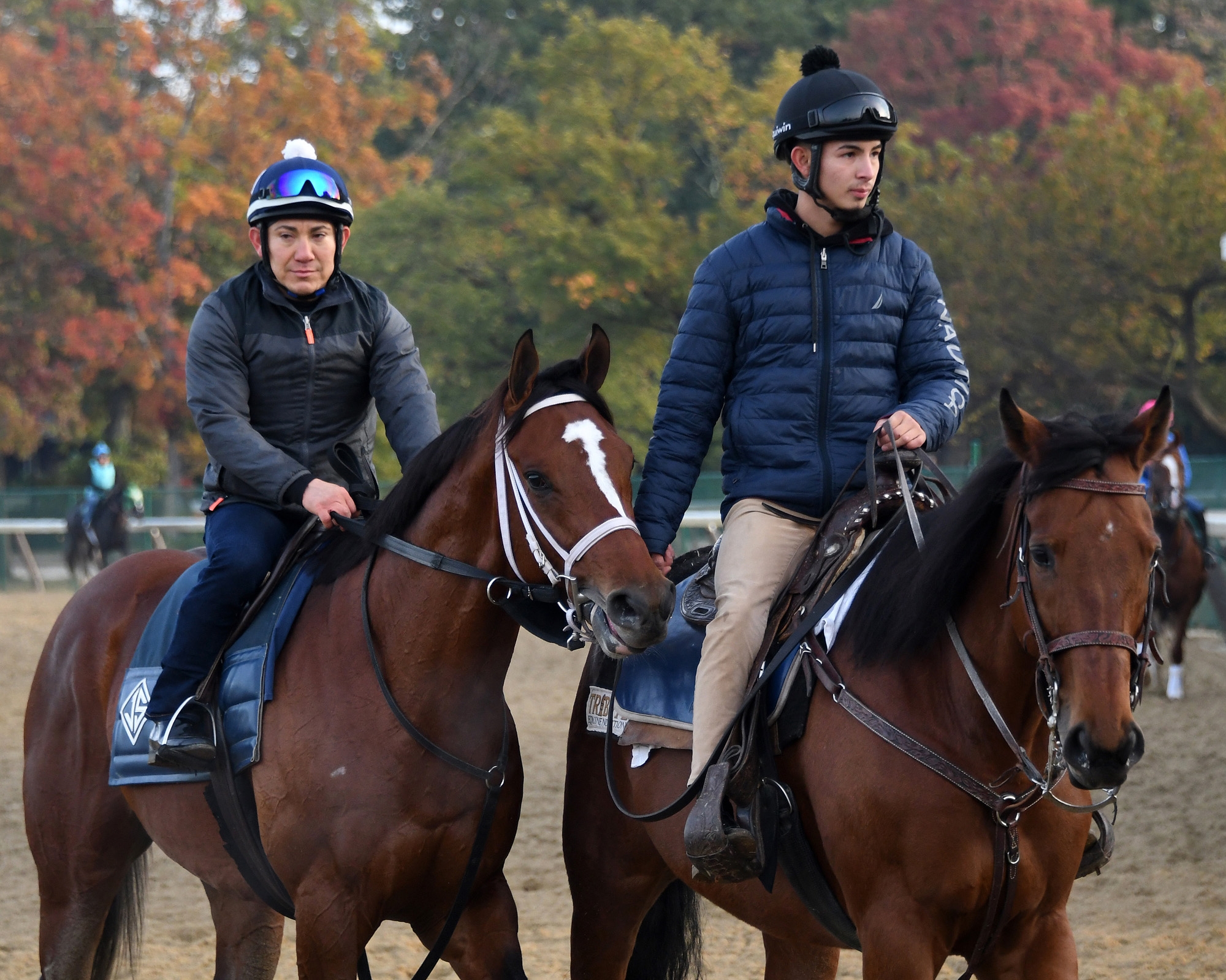 Maximum Security on the Belmont training track 10.20.19