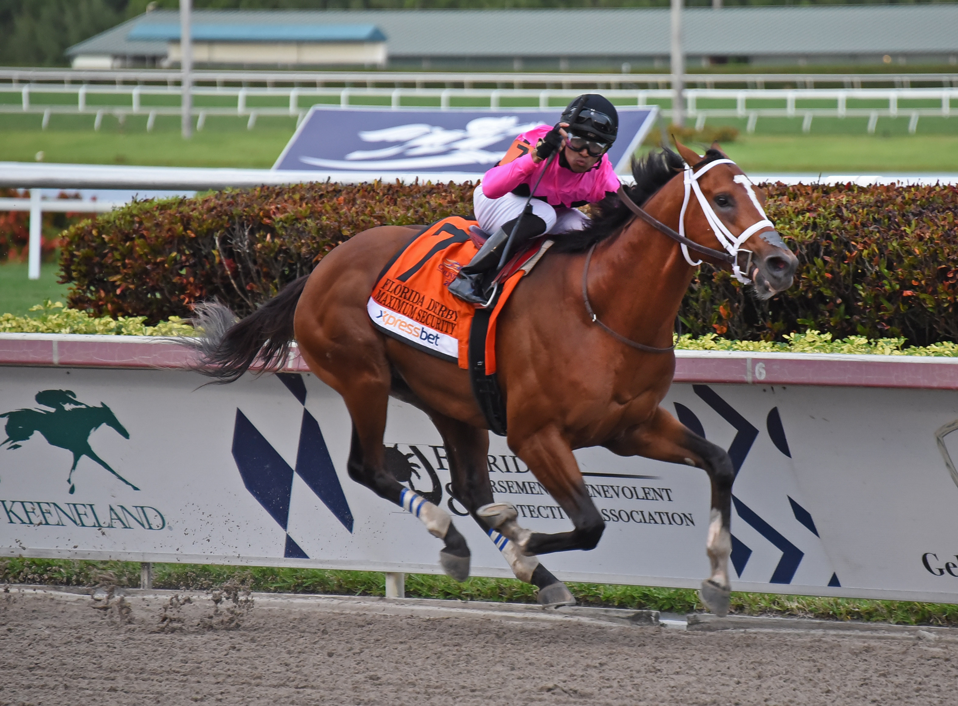 Maximum Security wins the 2019 Florida Derby