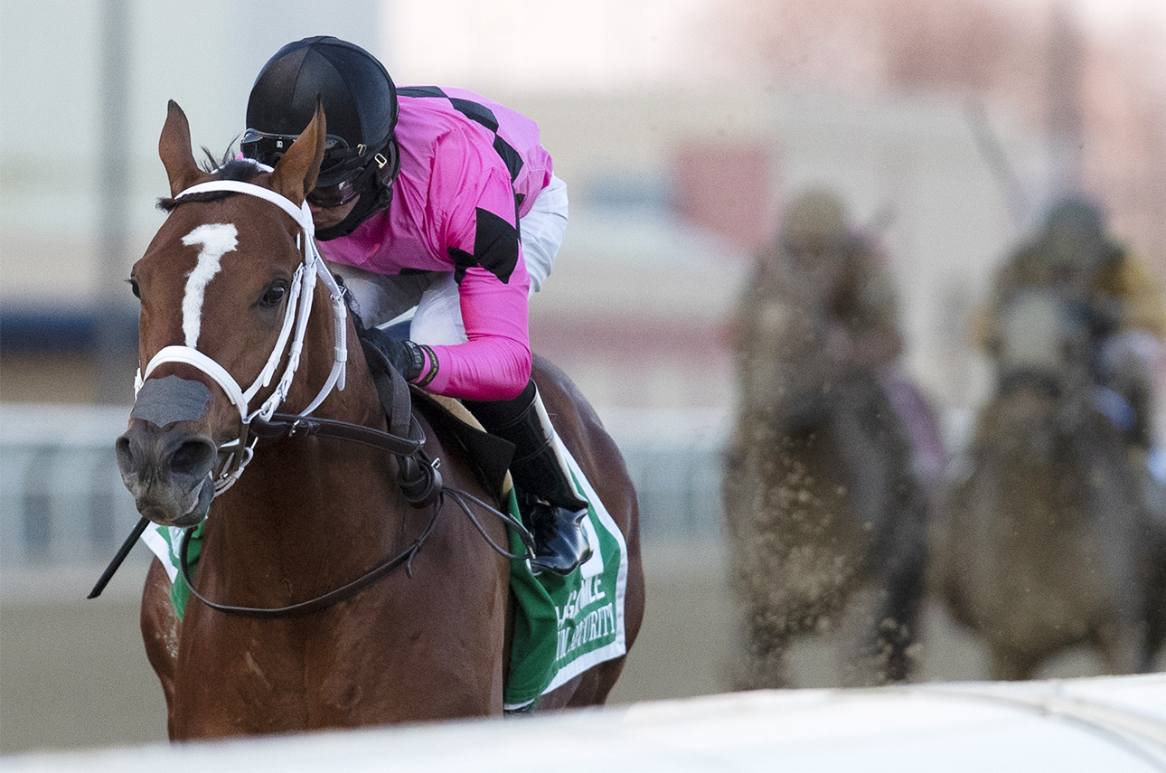 ECLIPSE older dirt male Maximum Security