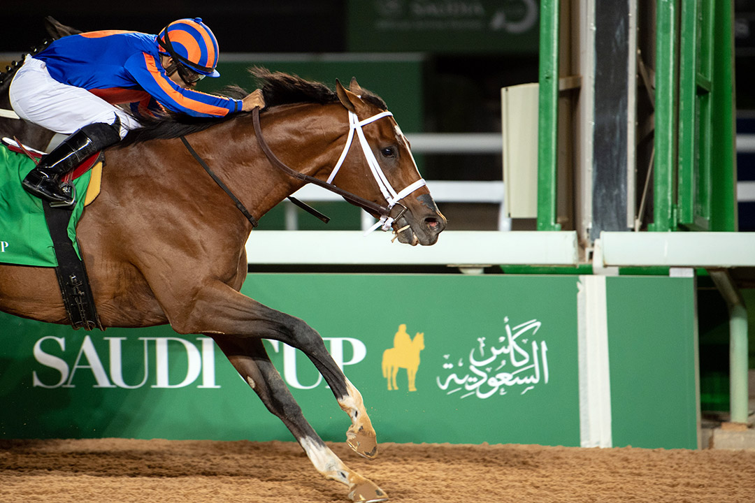 Maximum Security wins the Saudi Cup at King Abdulaziz Racetrack