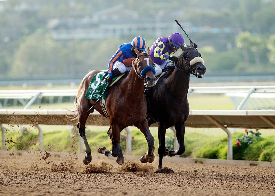 Maximum Security (left) beats Midcourt to win the San Diego at Del Mar