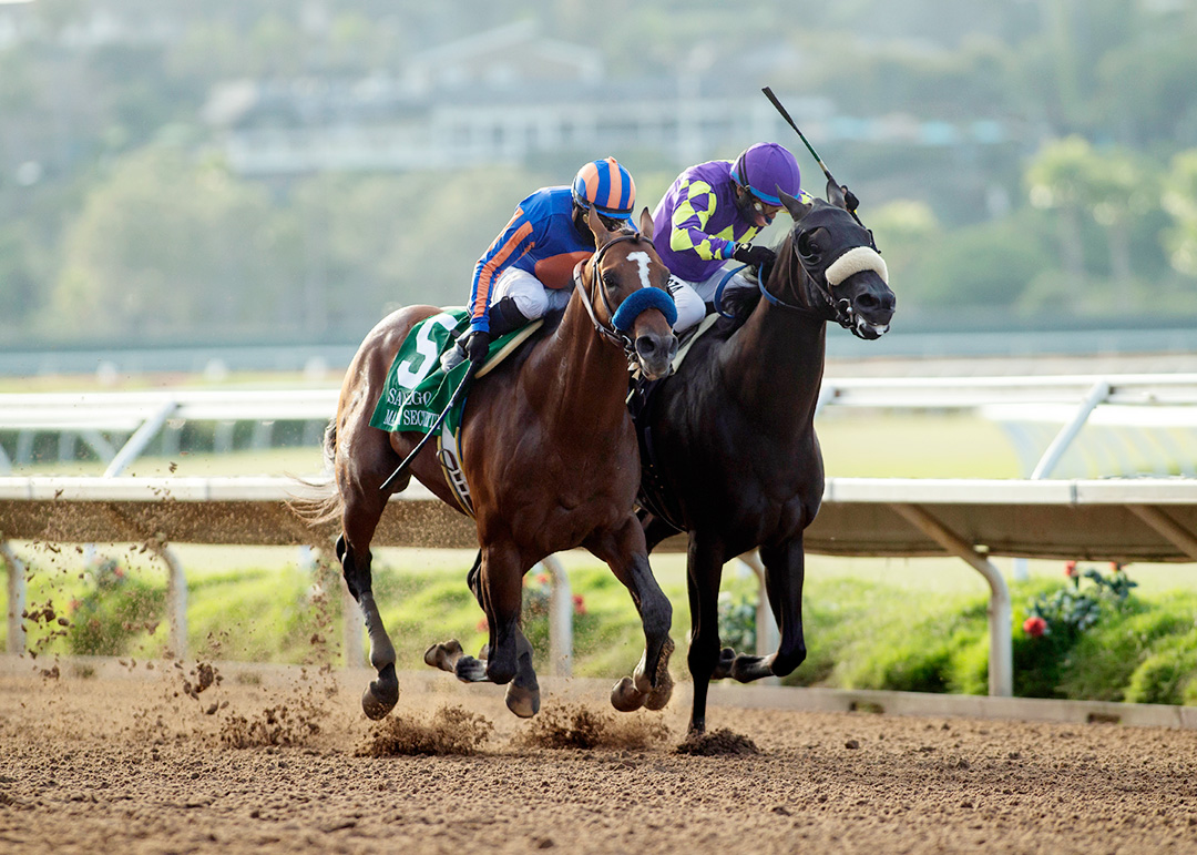 Maximum Security (left) beats Midcourt to win the 2020 San Diego at Del Mar