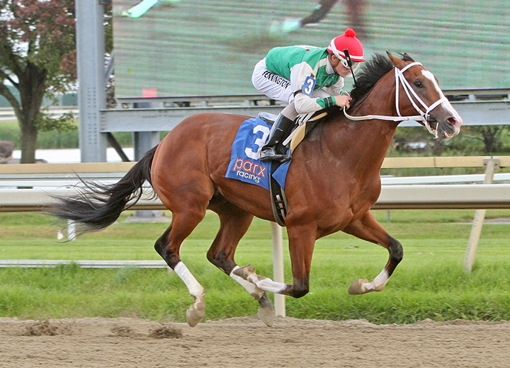 Maximus Mischief wins an Oct. 20 allowance at Parx
