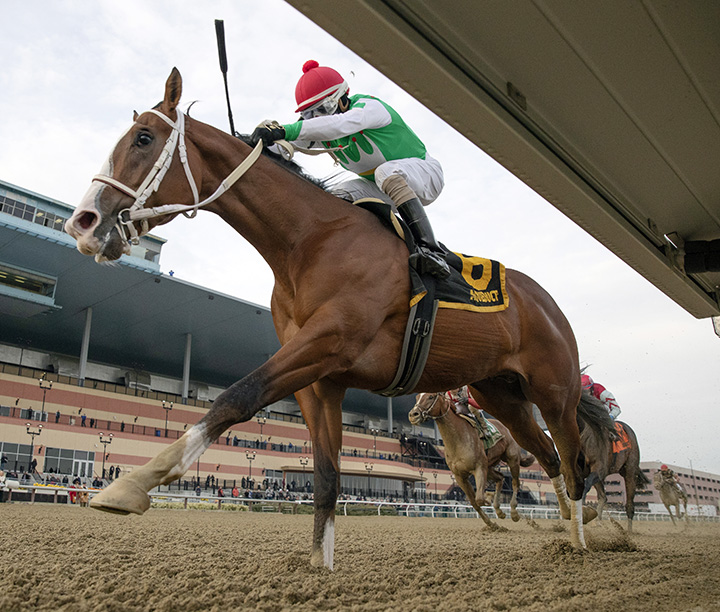 Maximus Mischief wins the 2018 Remsen Stakes