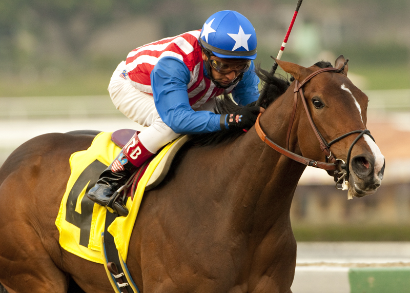 May Day Rose wins Santa Ysabel
