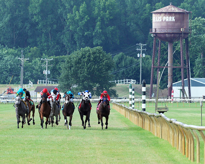 Racing at Ellis Park