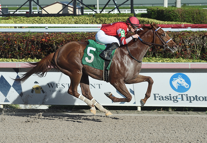 Mayberry Deputy wins a Dec. 28 maiden race at Gulfstream Park
