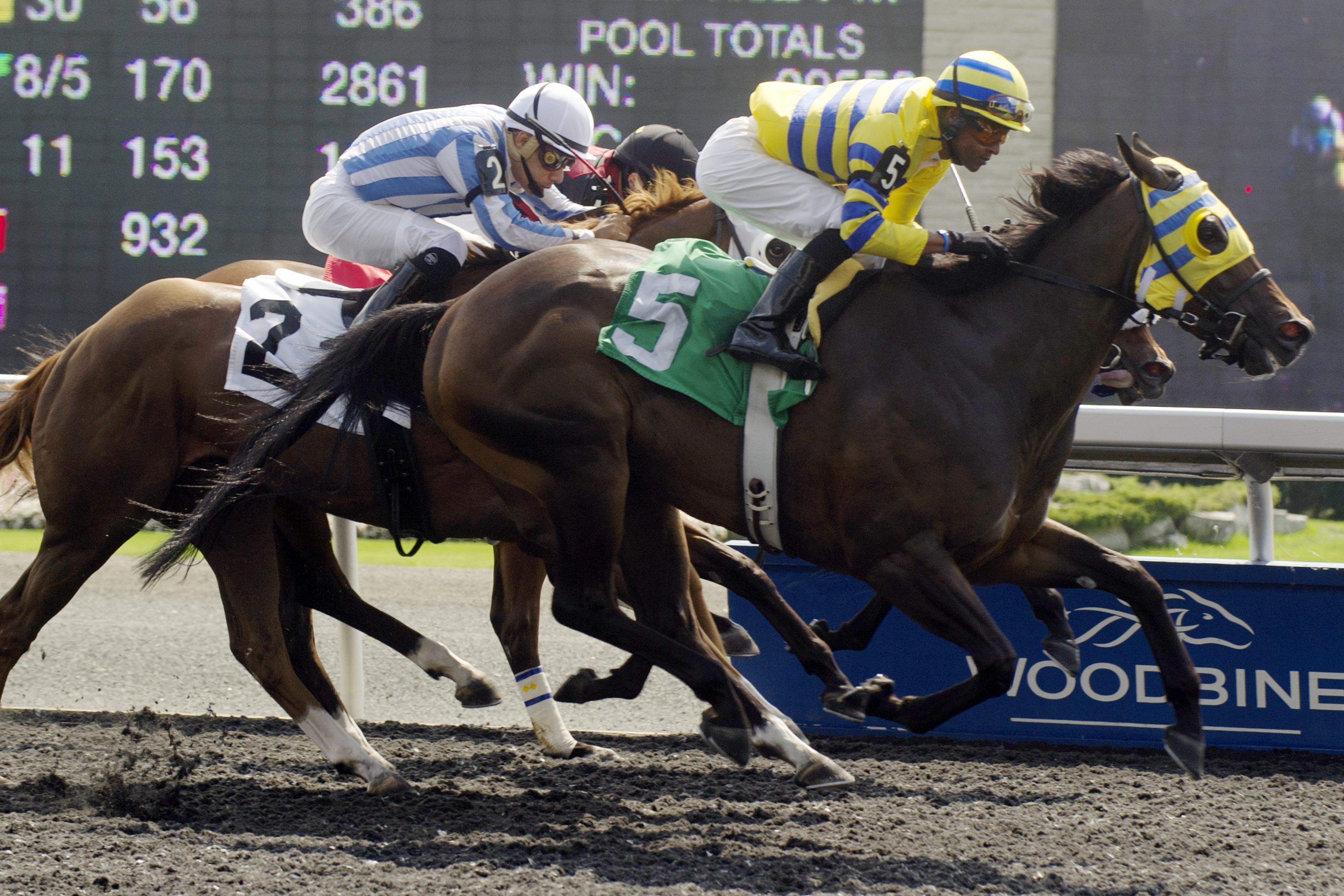 Maythefourthbwithu wins a claiming race