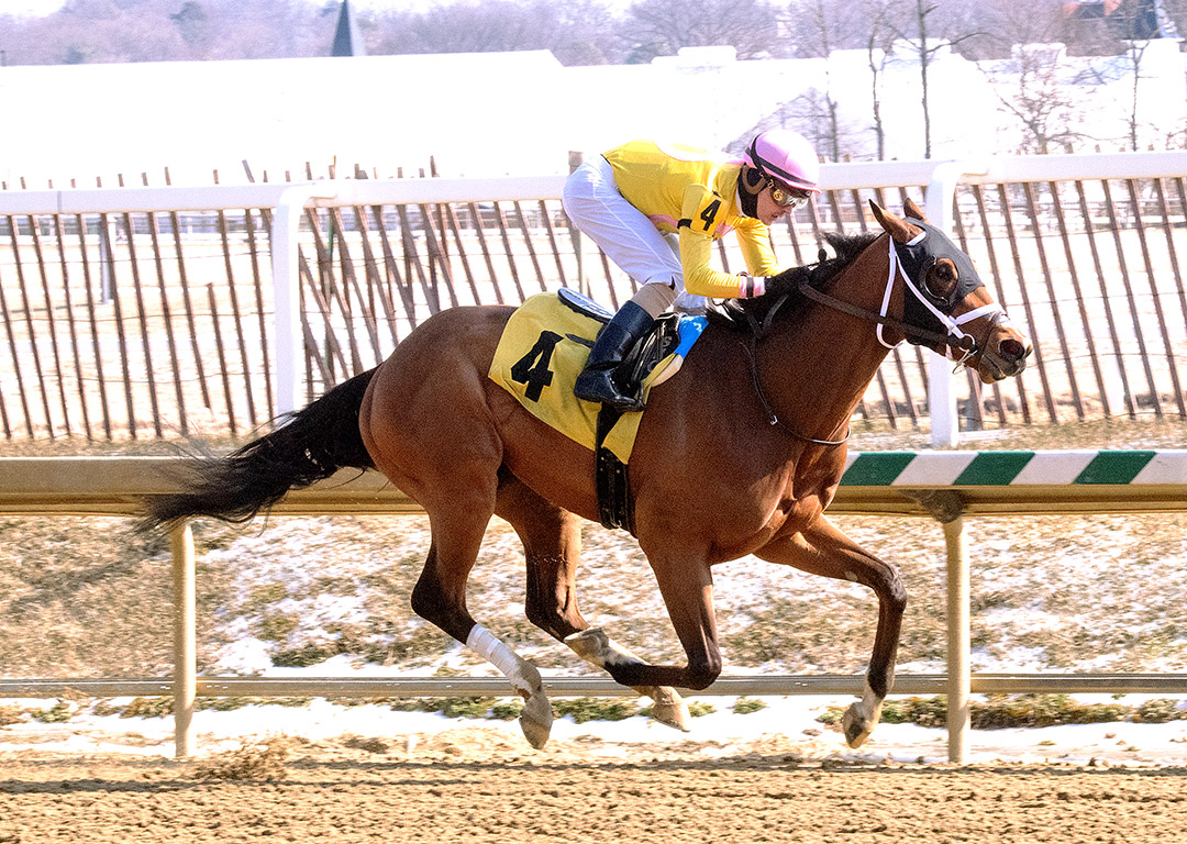 Maythehorsebwithu wins the 2021 Miracle Wood Stakes at Laurel Park
