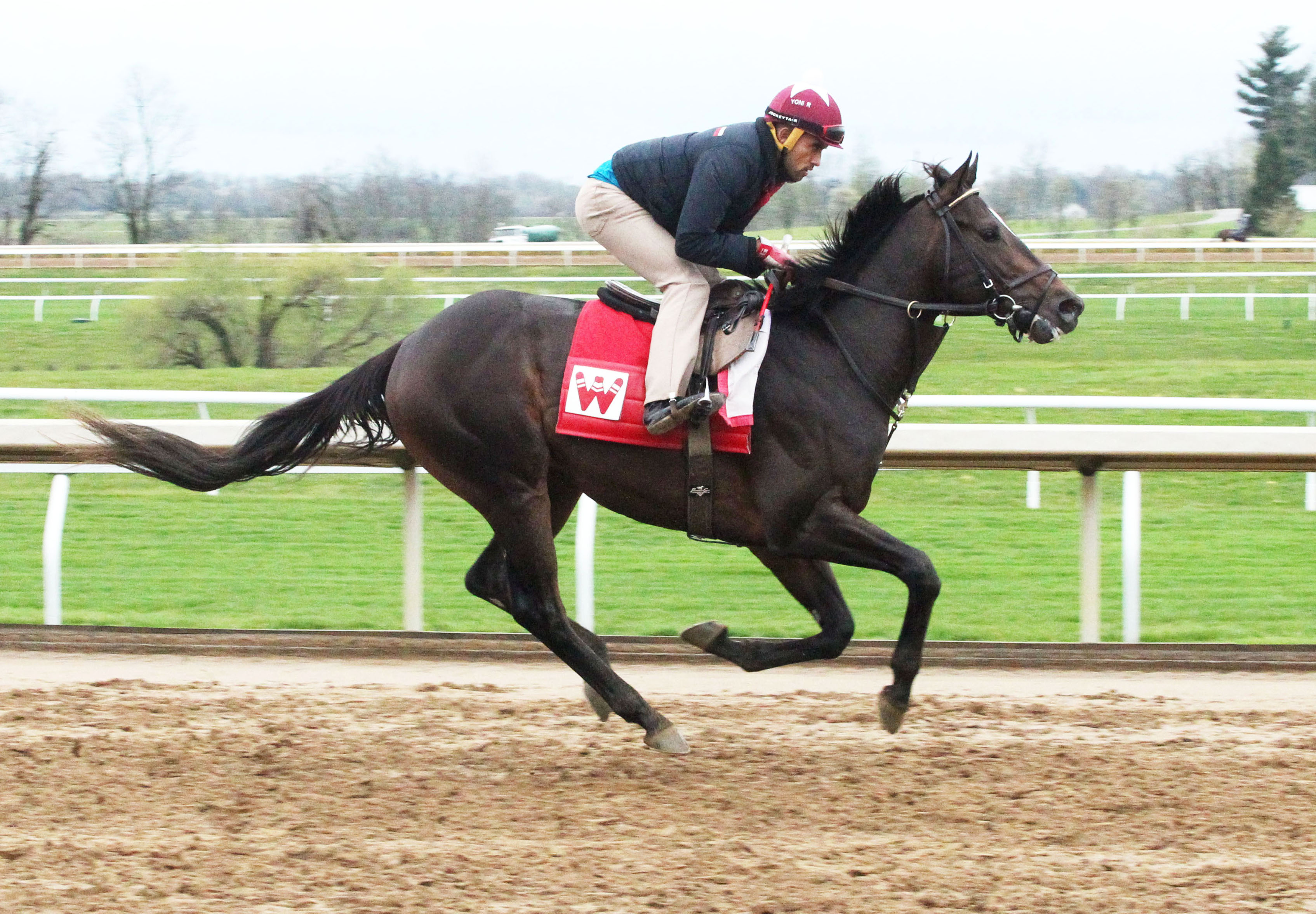 McCraken trains at Keeneland on March 31