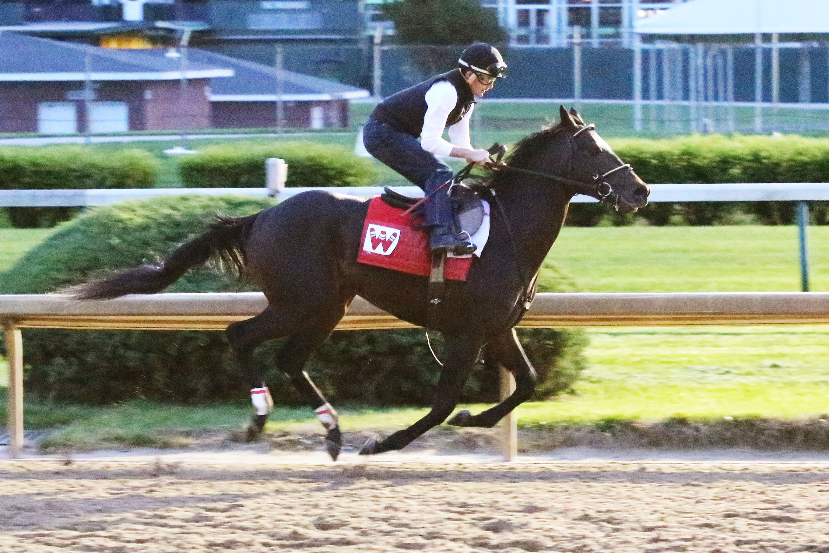 McCracken breezes at Churchill Downs on April 18