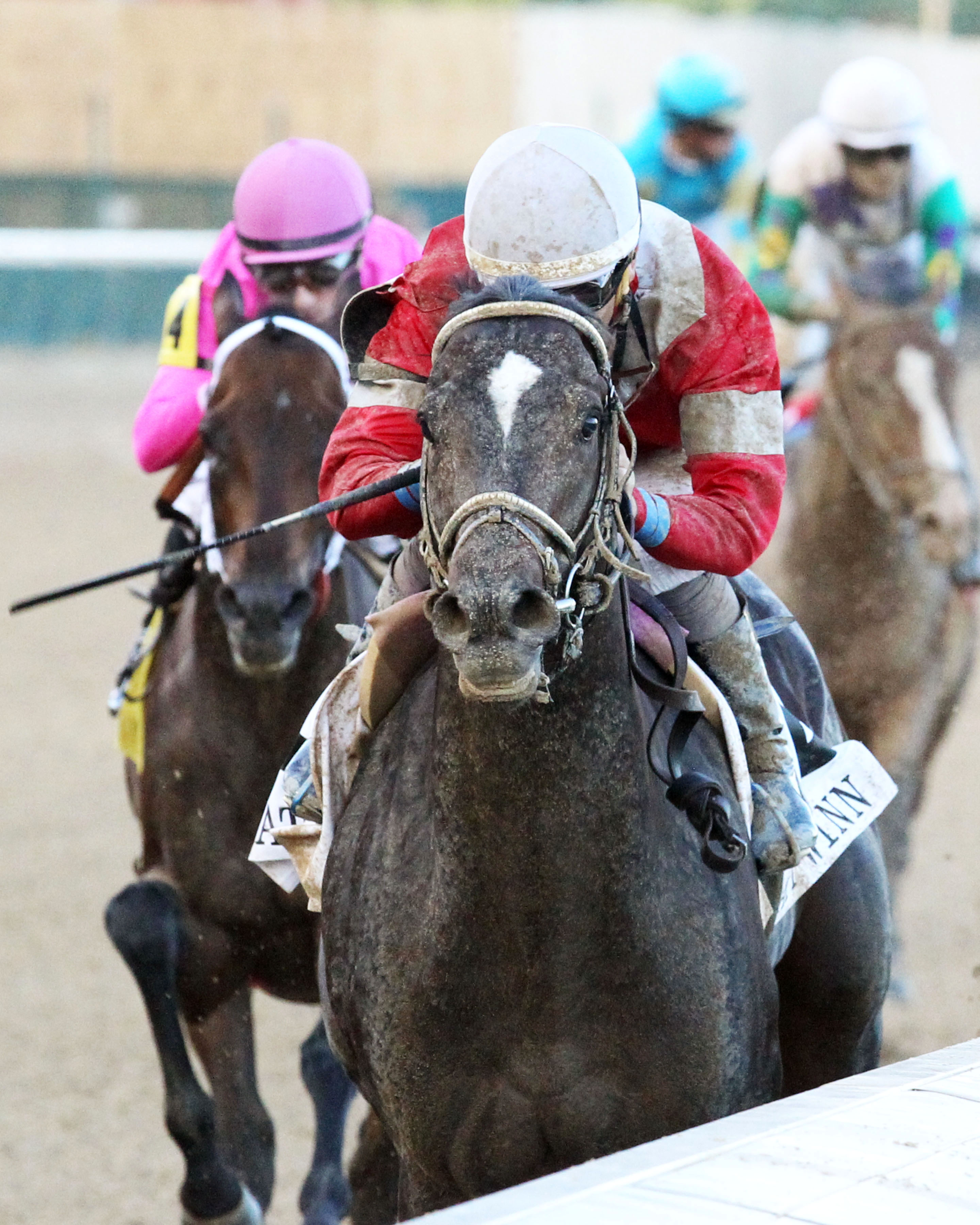 McCraken wins the Matt Winn Stakes