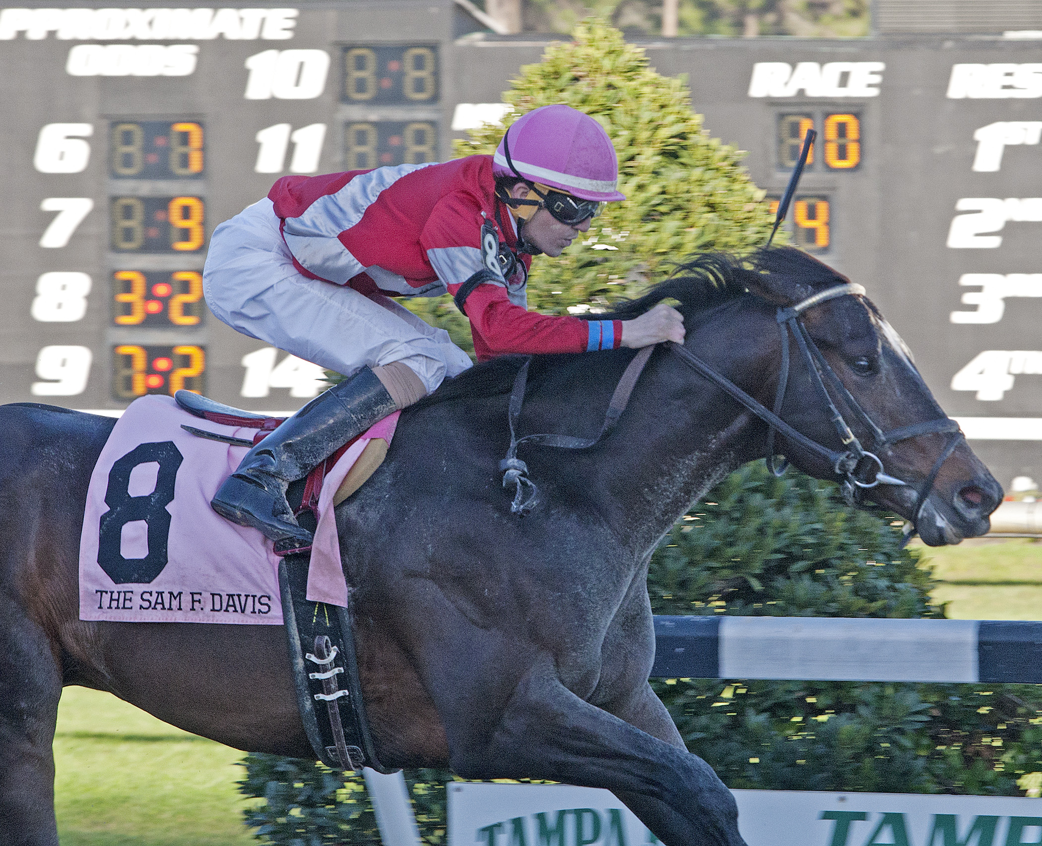 McCraken delivers as favorite in Sam Davis