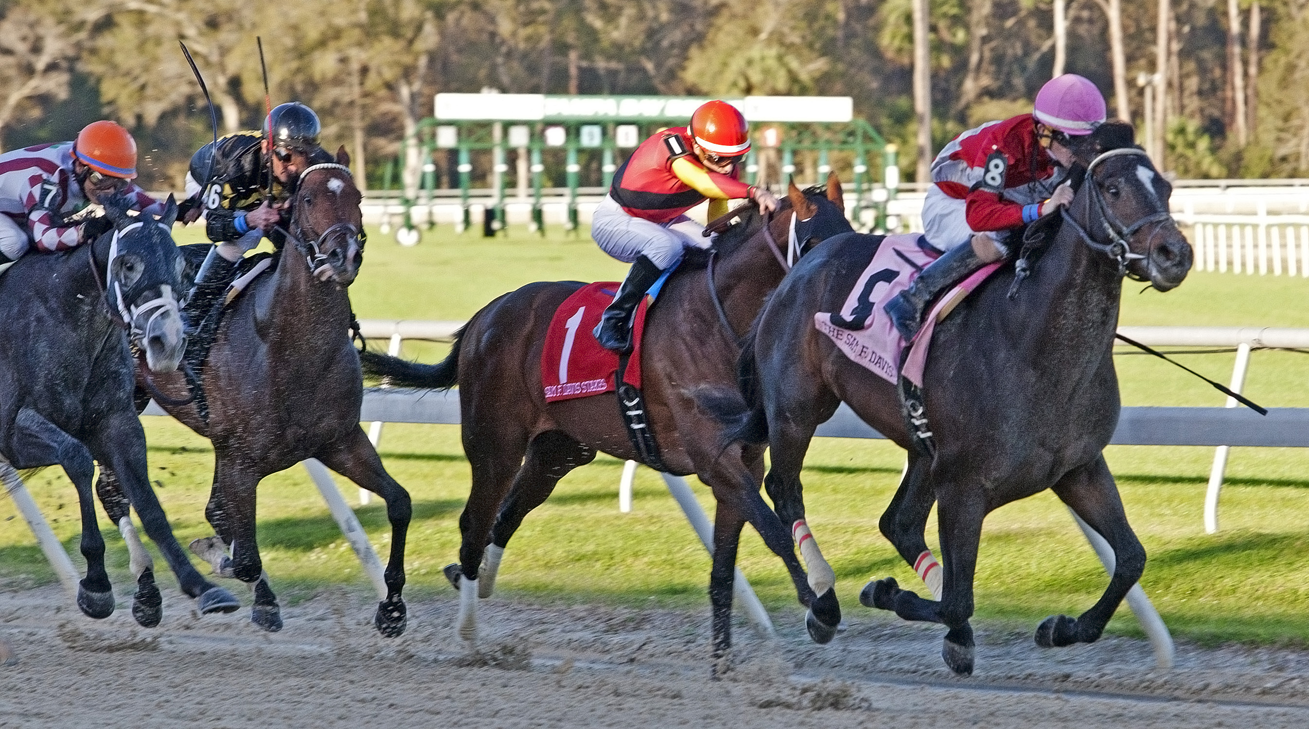 McCraken wins the Sam F. Davis Stakes