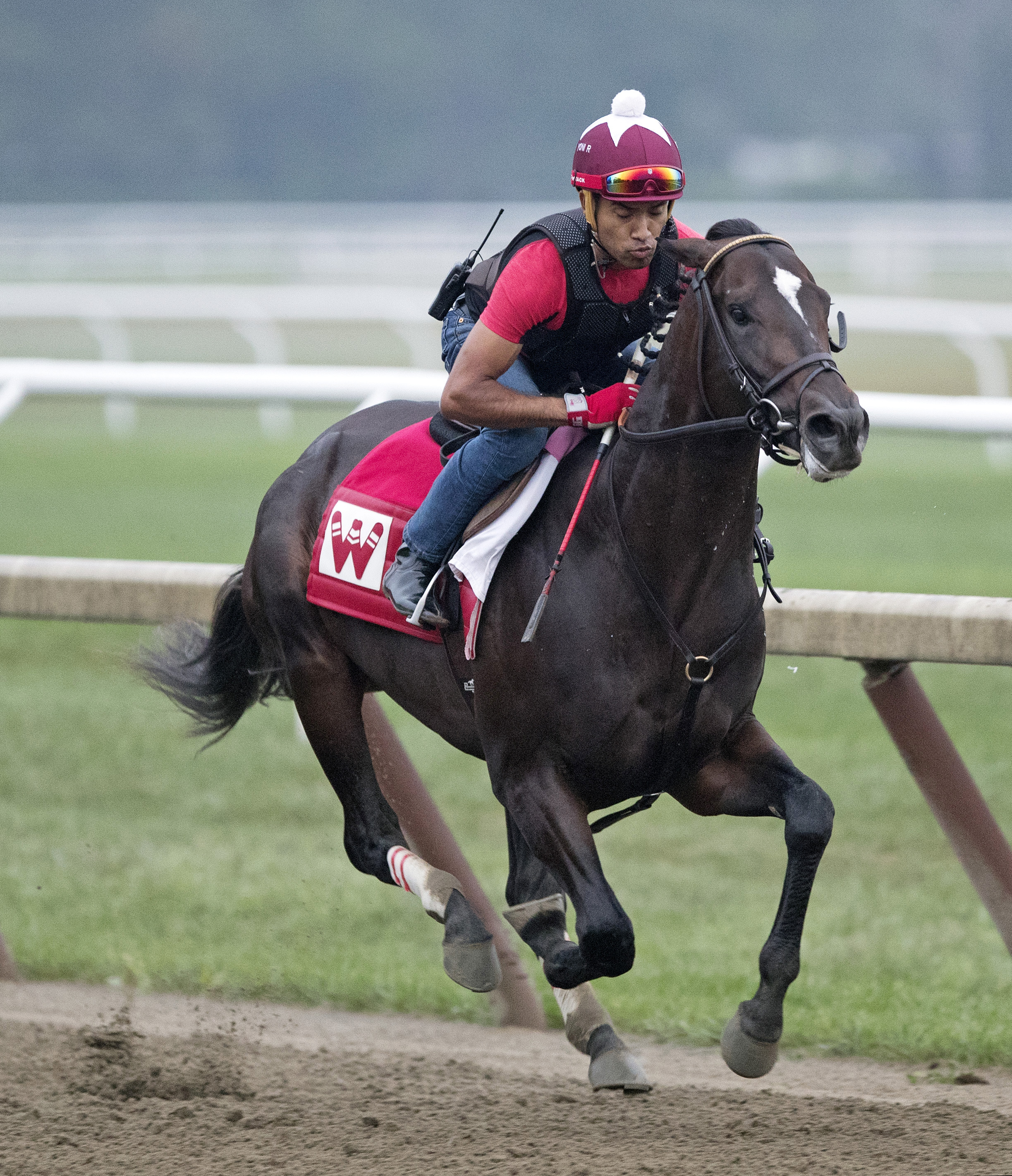 McCraken trains at Saratoga on Aug. 22, 2017