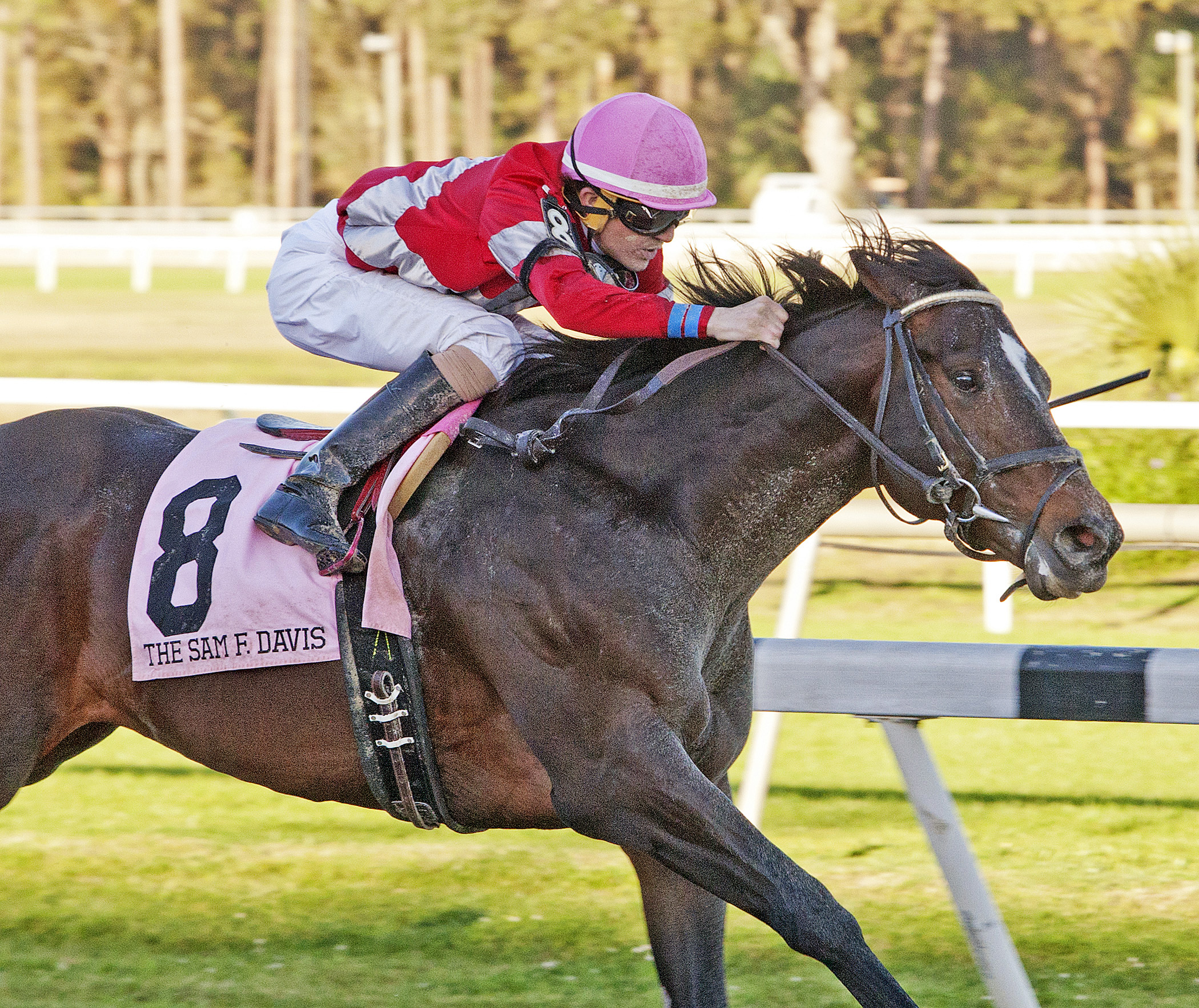 McCraken wins the Sam F. Davis Stakes