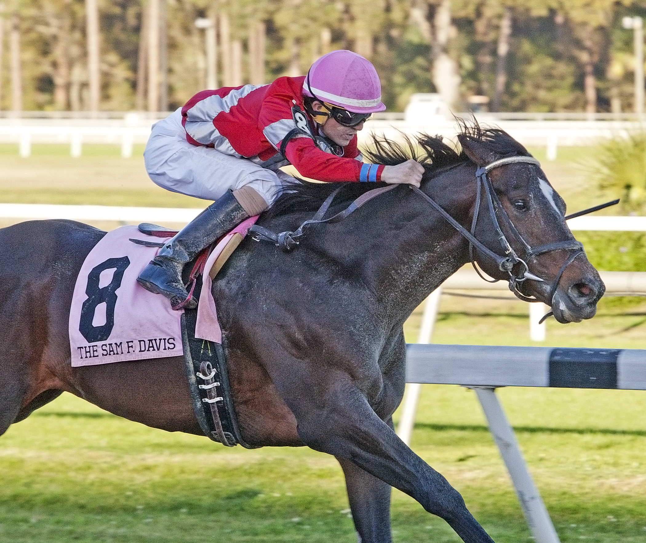 McCraken wins the Sam F. Davis Stakes