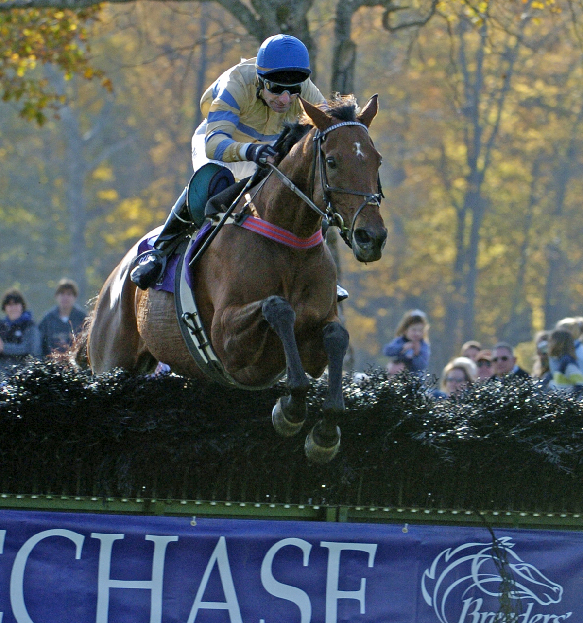 McDynamo, 2004 Breeders' Cup Steeplechase