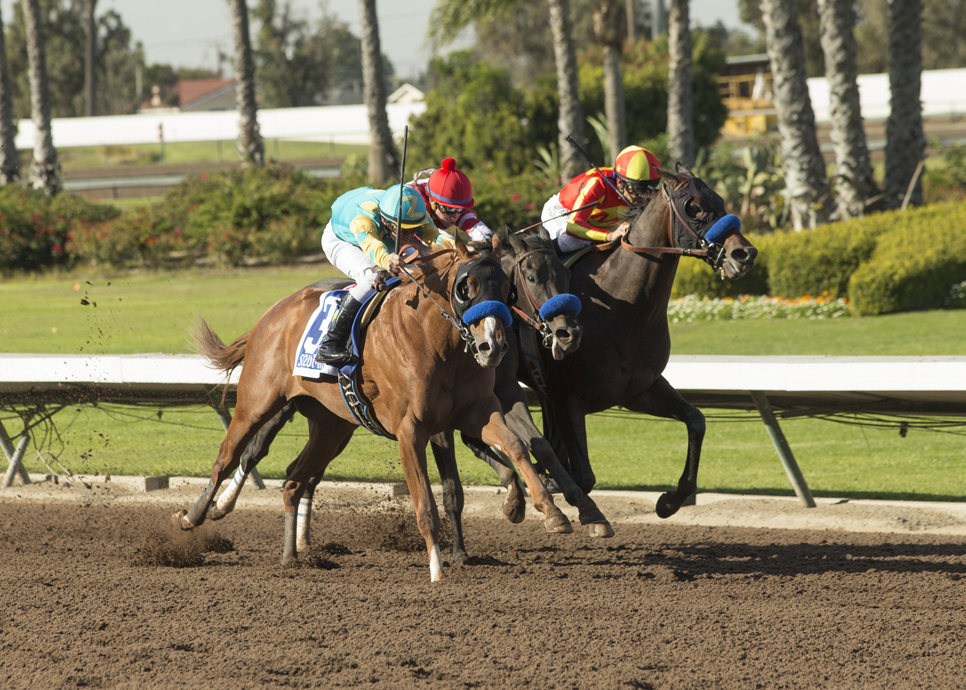 McKinzie wins 2017 CashCall Futurity