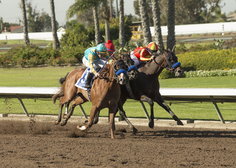 McKinzie (inside) 2017 CashCall Futurity