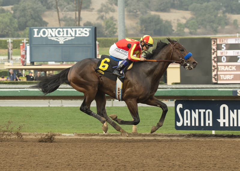 McKinzie wins the 2018 Sham Stakes