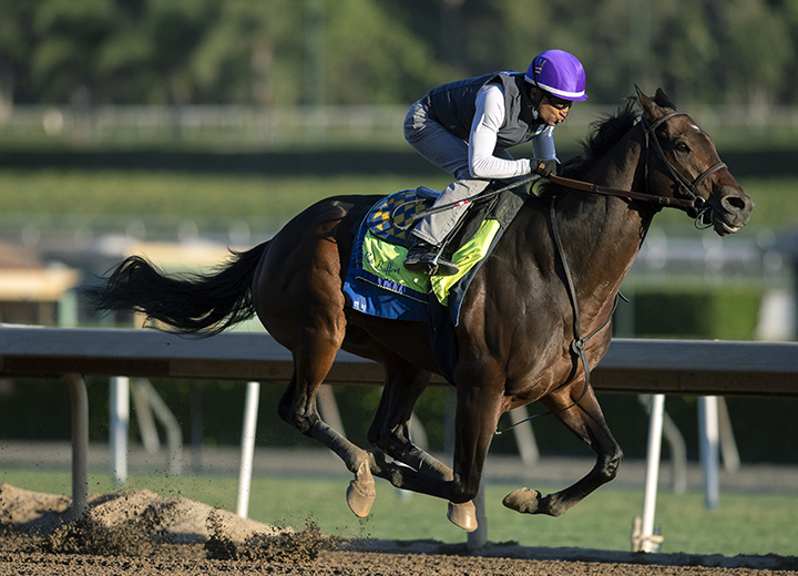 McKinzie trains at Santa Anita Park on Oct. 22