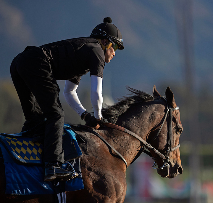 McKinzie trains at Santa Anita on Oct. 27