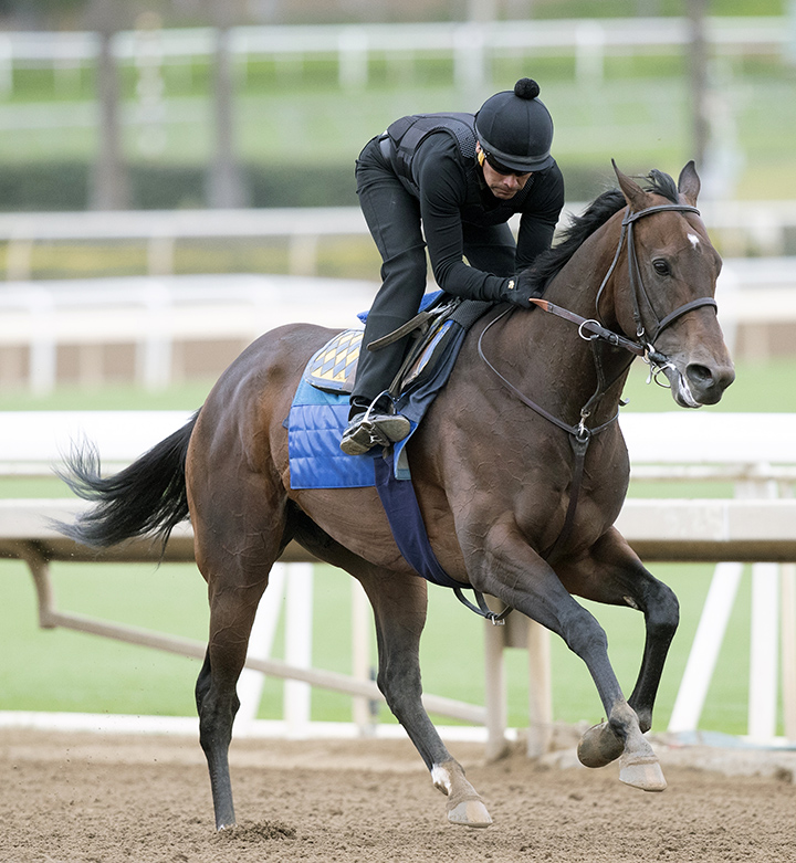 McKinzie trains at Santa Anita on Dec. 14